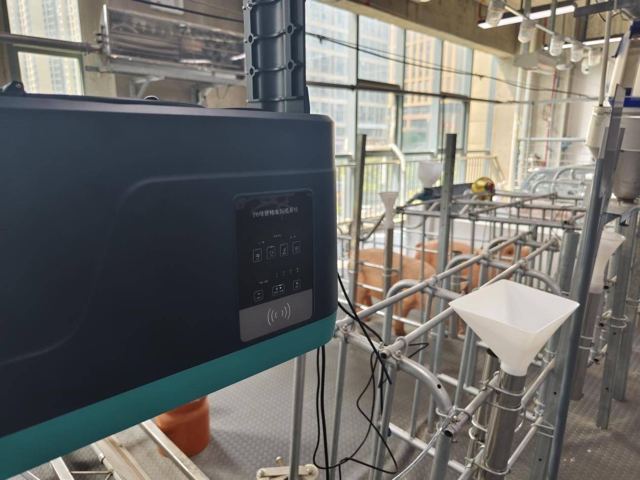 Feeding equipment