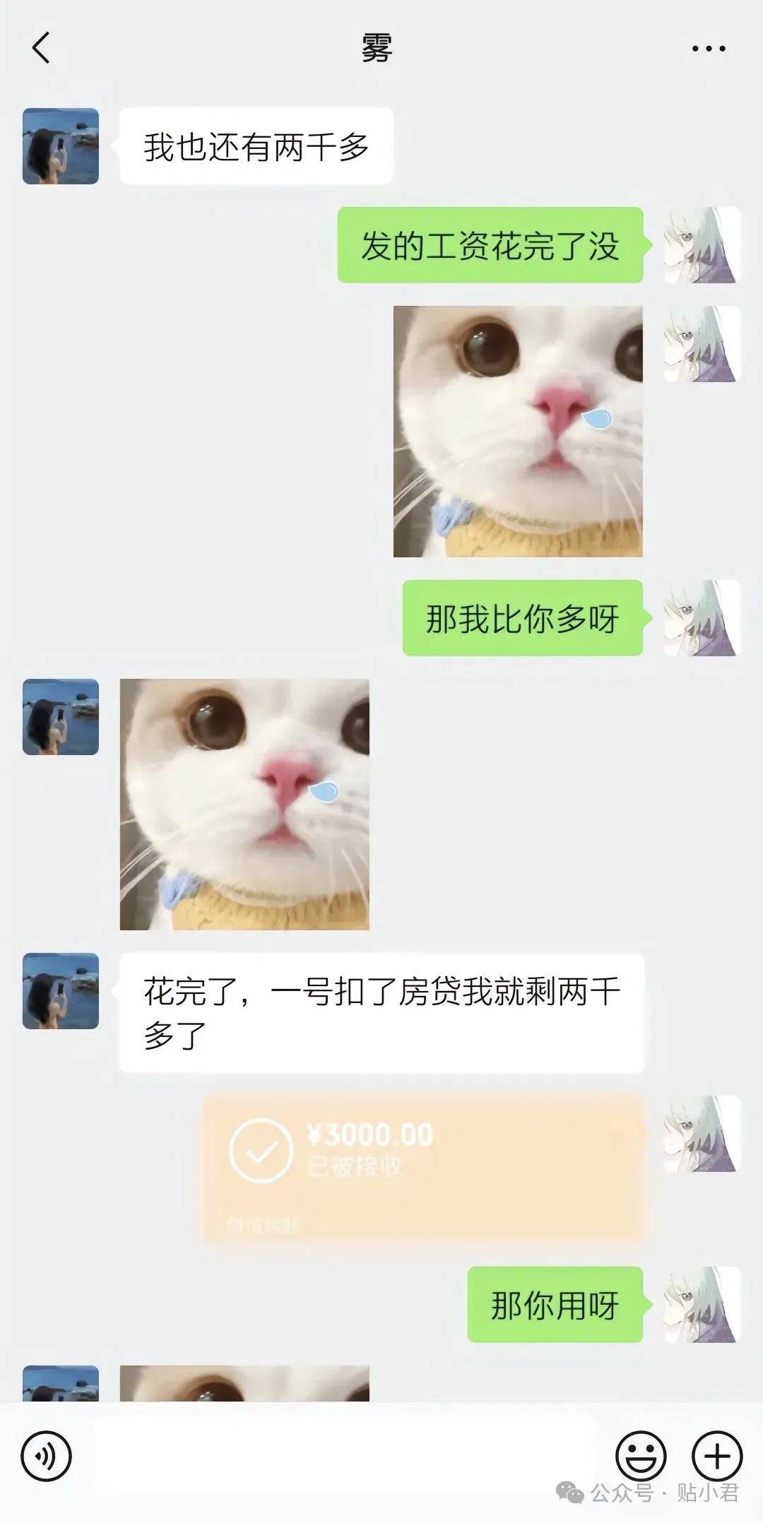 易靖霆 | 21岁重庆男子跳江事件