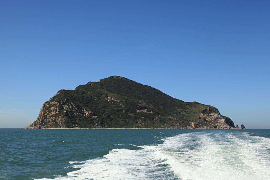 大连蛇岛是怎么成的?为何有那么多毒蛇,2万条毒蛇如何活下来?