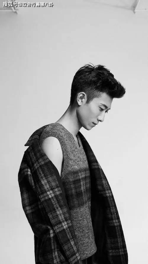 此后,他又出演了影视剧《李小龙我的兄弟》《建党伟业》《老爸回家》