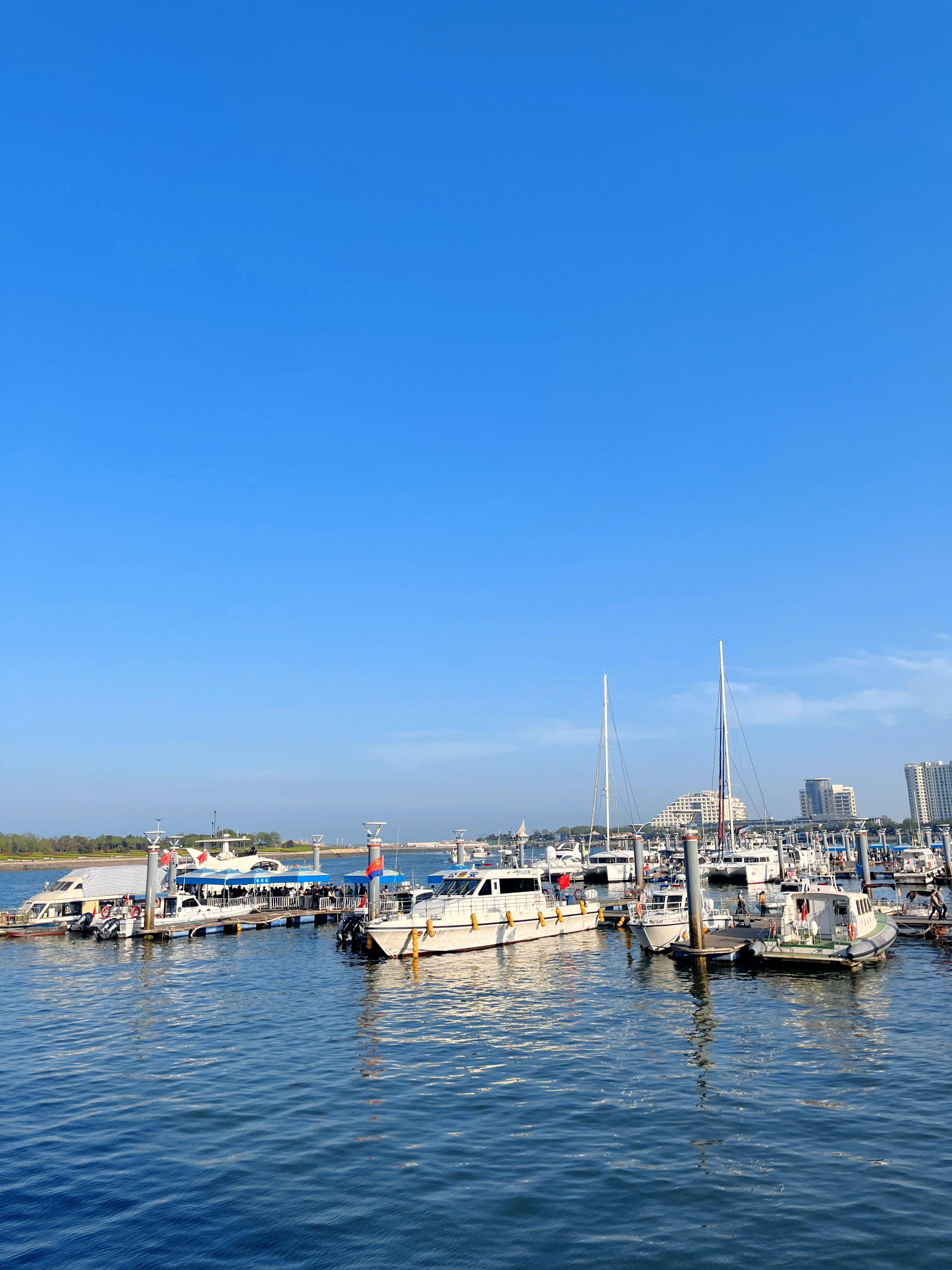 两天就花了600 今年日照真不贵