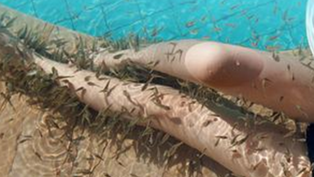 女子和同事做鱼疗,突然感觉下面不舒服,起身一看,顿时就慌了!