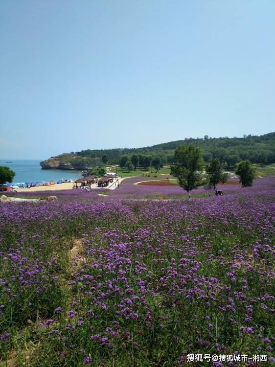 大连自由行三日游详细攻略,大连自由行游玩路线分享