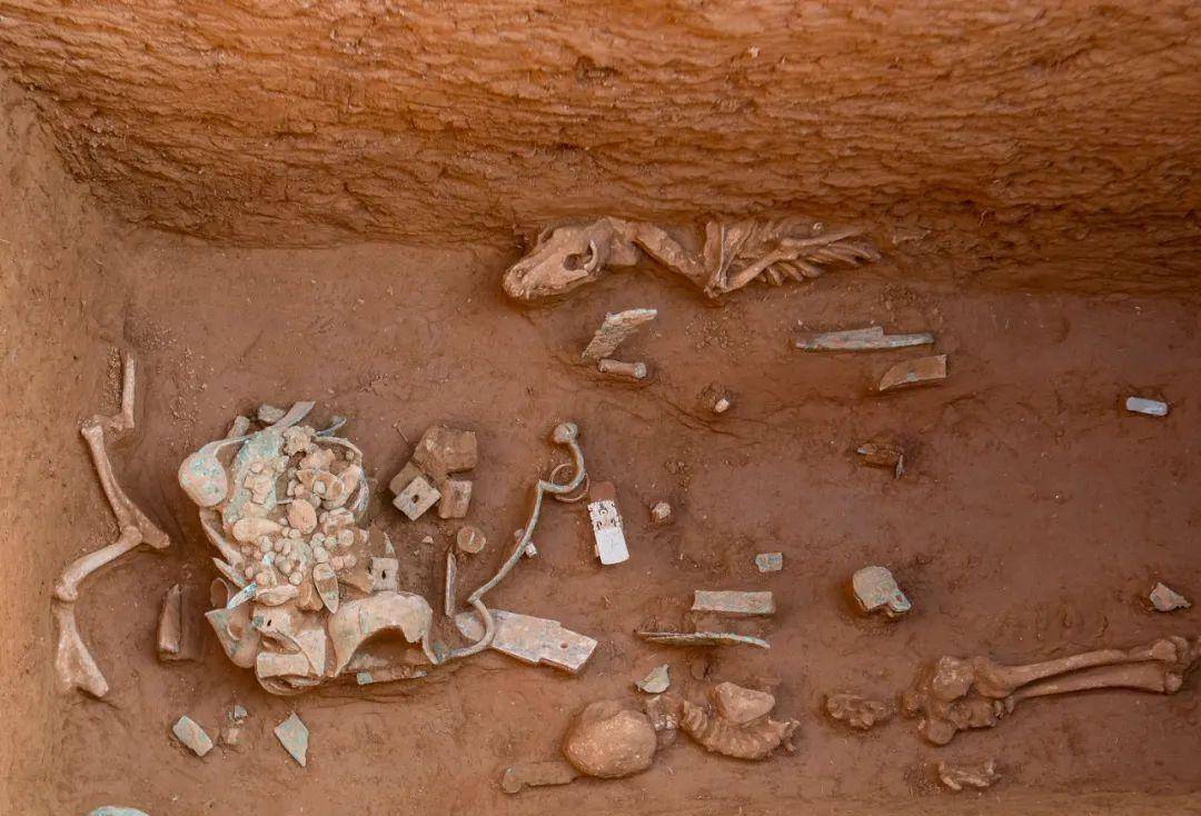 不仅如此,分子人类学工作者在对殷墟大司空村遗址出土的人骨进行线粒