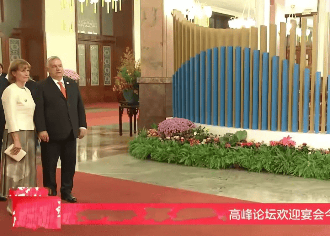 妻子阿尼科穿玫红色小香风,温柔又显嫩_夫人_穿着_颜色