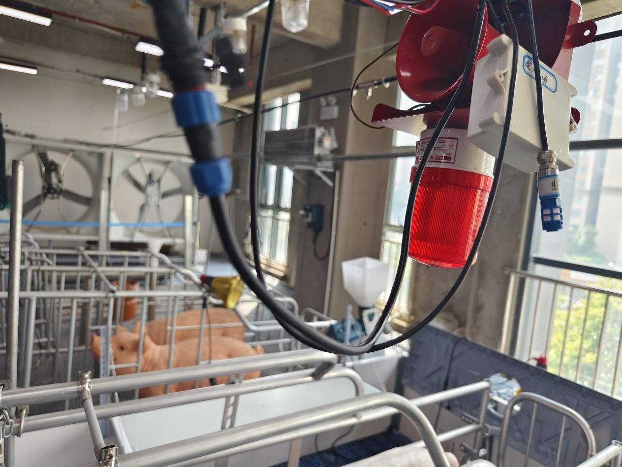 清理设备:清理设备是保持养猪场卫生环境的重要工具.