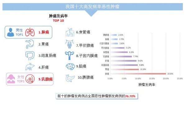 胃癌是导致人口发病率和死亡率升高的重要原因