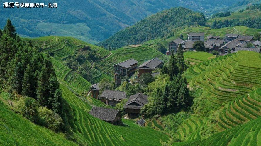看完点赞!桂林自由行导游管家