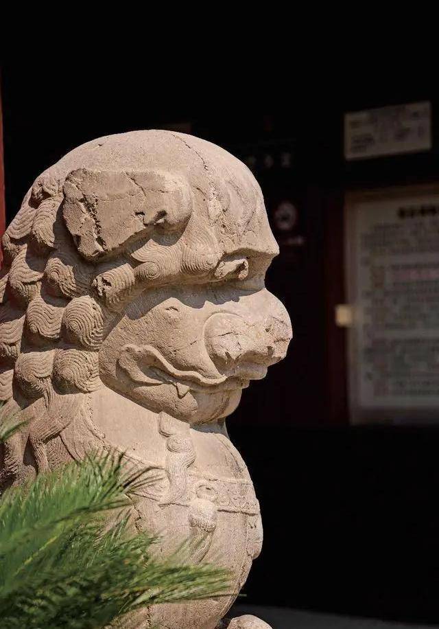 三百里之外的辽王朱贵烚,竟然派府中内官阮奇等人大摇大摆去悼隐王墓