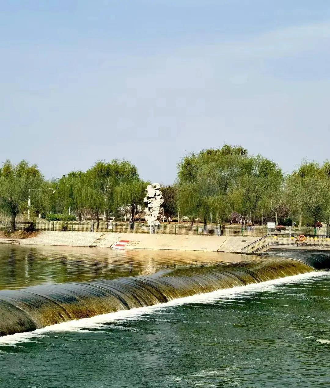 月季满城的五月,在聊城,放肆"嗨"!_风景区_公园_湖水