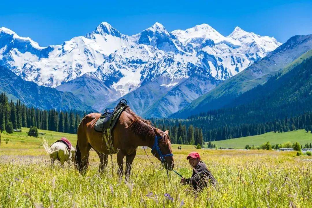 d5,昭苏-喀拉峻草原-特克斯八卦城早酒店早餐后出发前往喀拉峻草原,喀