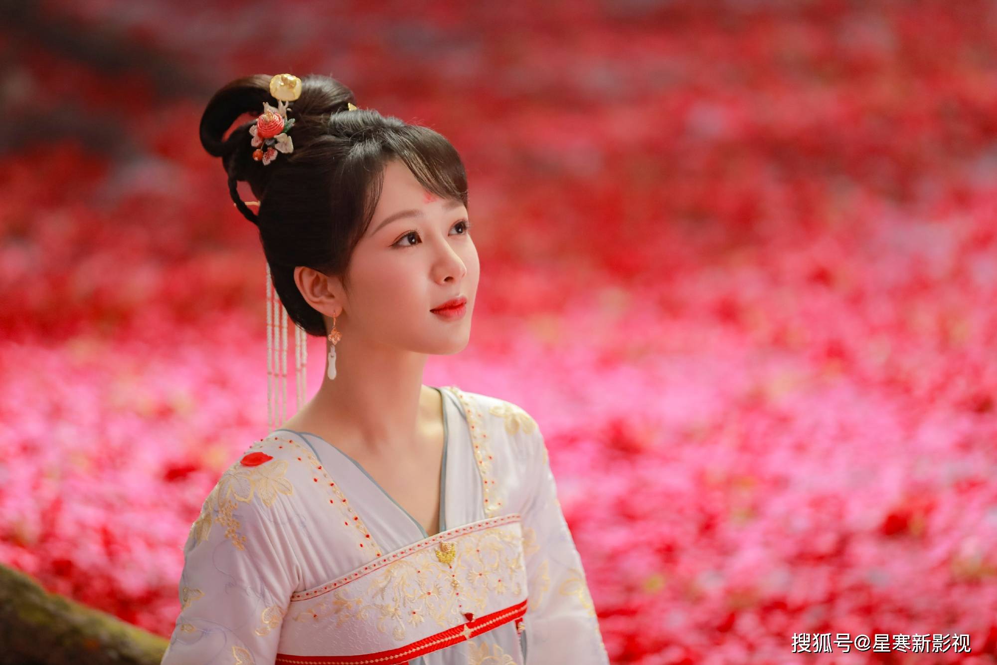 杨紫《长相思2》开播再提速,全新剧情,看点加倍,古装王炸来了