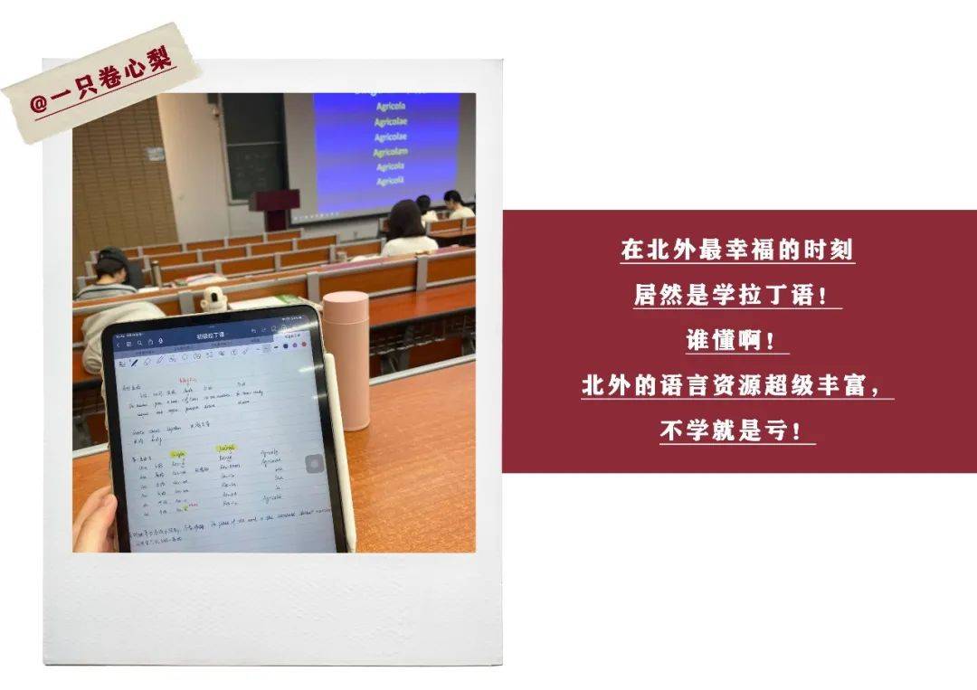 北京外国语大学国内大学排名_北京外国语大学排行榜2018_北京外国语大学排名