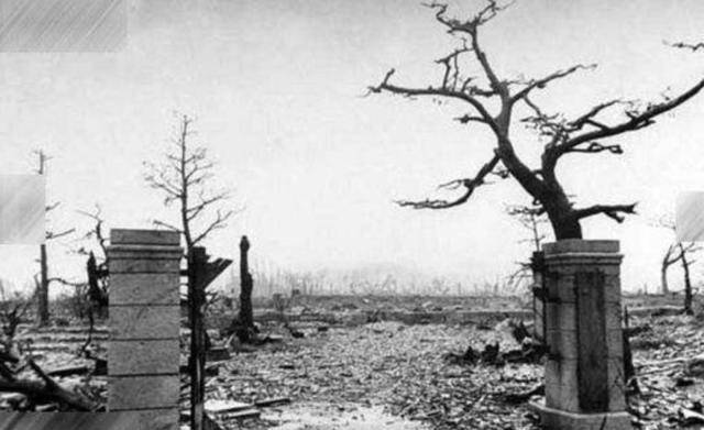 广岛长崎的核辐射论可能是个阴谋,原因有2点_事件_日本_危害性