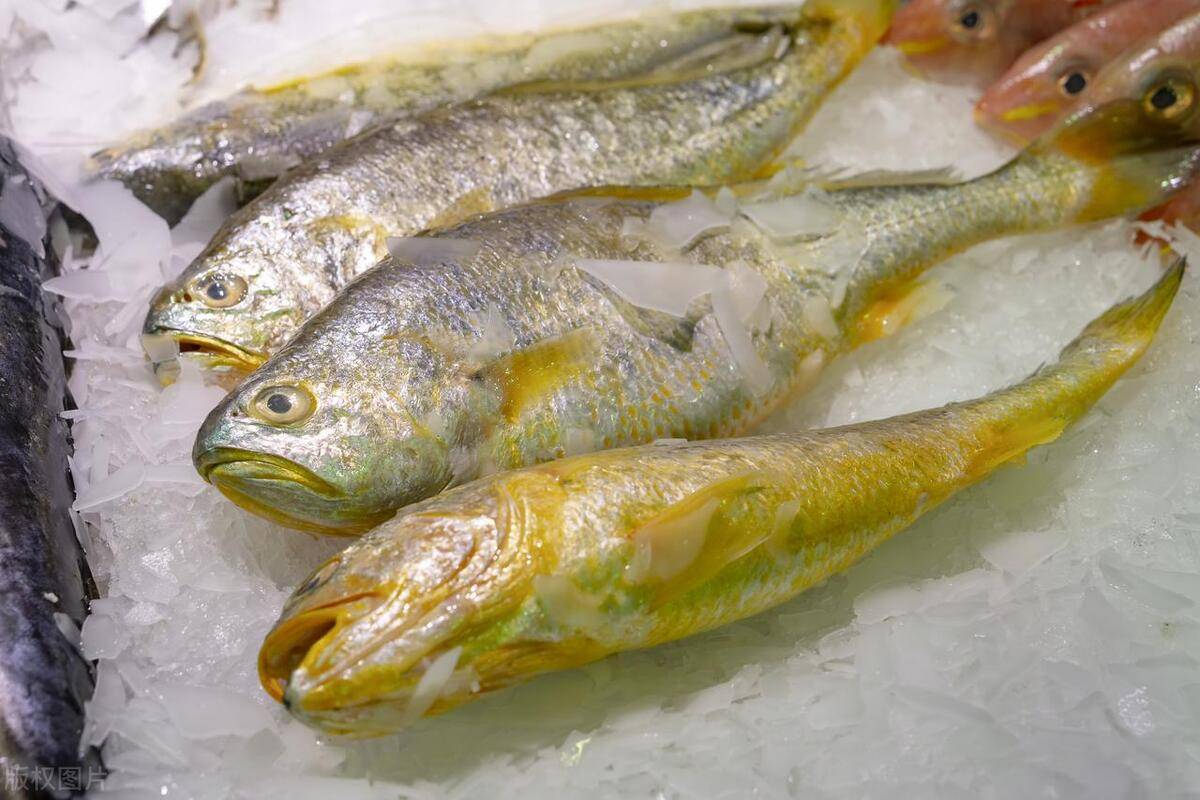 这5种是老渔民"公认"五月份最好吃的海鲜,鲜嫩肥厚,营养丰富