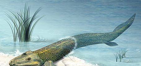 提塔利克鱼还有巴基鲸和陆行鲸,长相跟狼类似,却也能生活在水中,跟