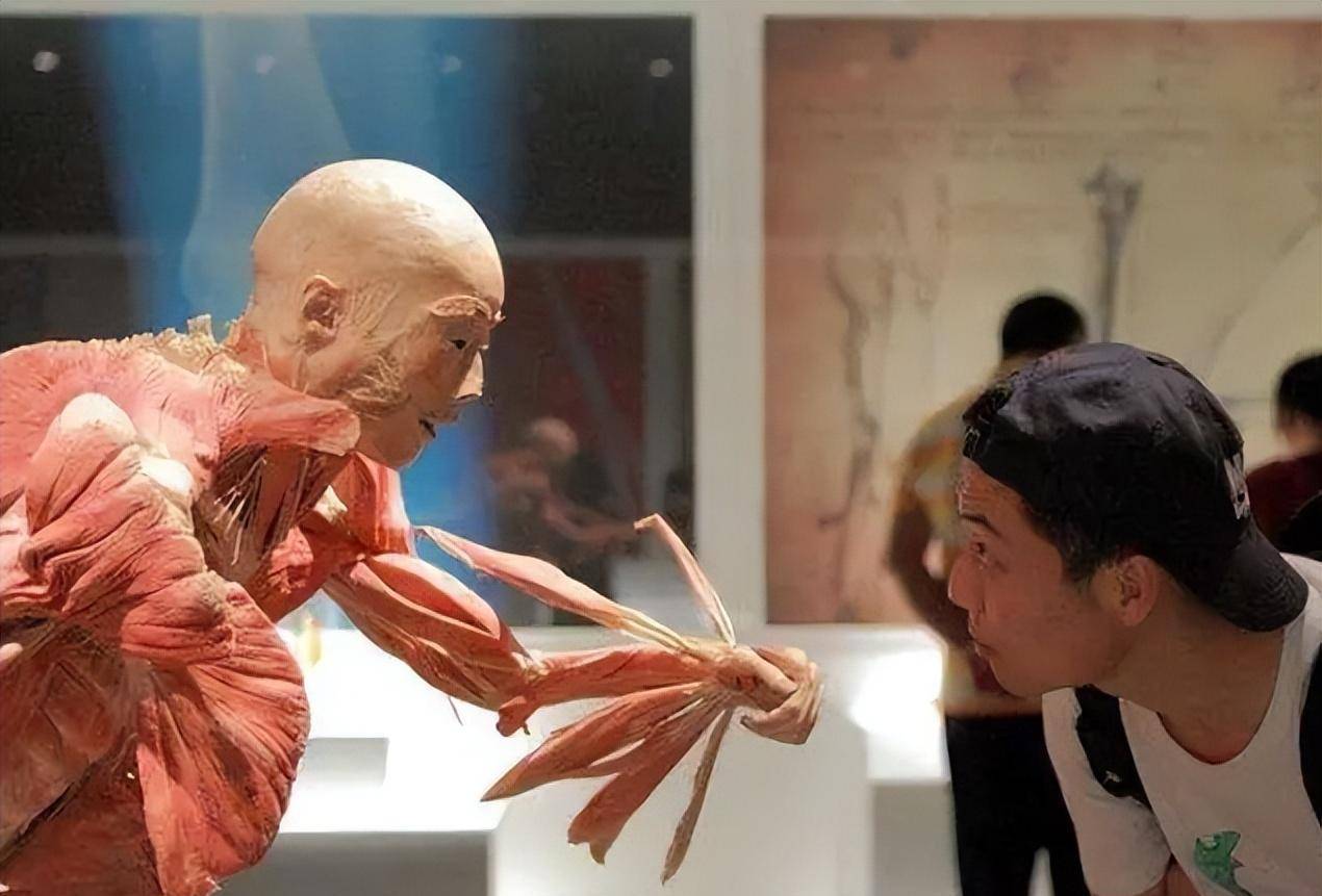 人体标本制作师:没有固定休息时间,每年处理50具遗体,全靠捐献