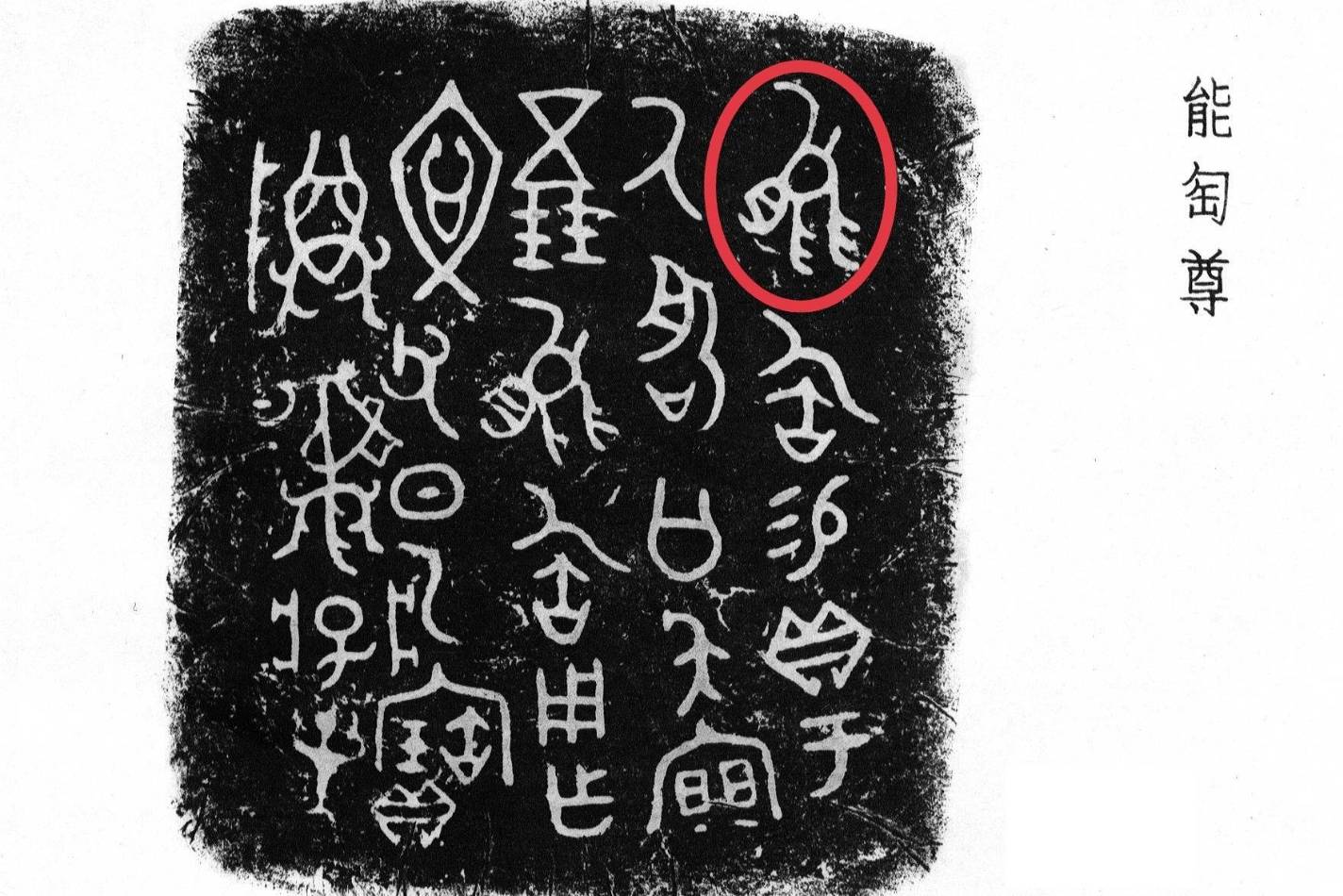 “能”字探秘：从熊形金文到能力象征的汉字演变之旅_动物_古代_特征
