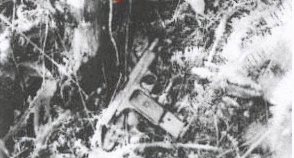 上世纪80年代,轰动全国的东北二王,到底有多难抓