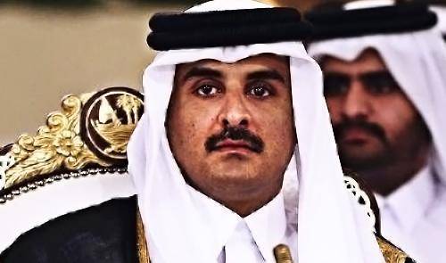 苏卡塔尔多少钱一只图片