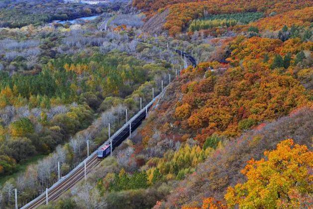 老镇新说·历史篇|穿越到曾经的博克图