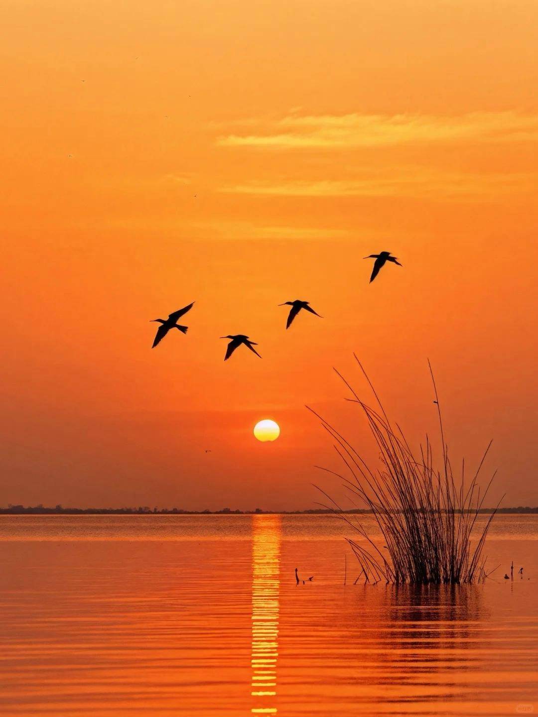 47句有关时光飞逝的唯美短句:细读来耐人寻味,醍醐灌顶