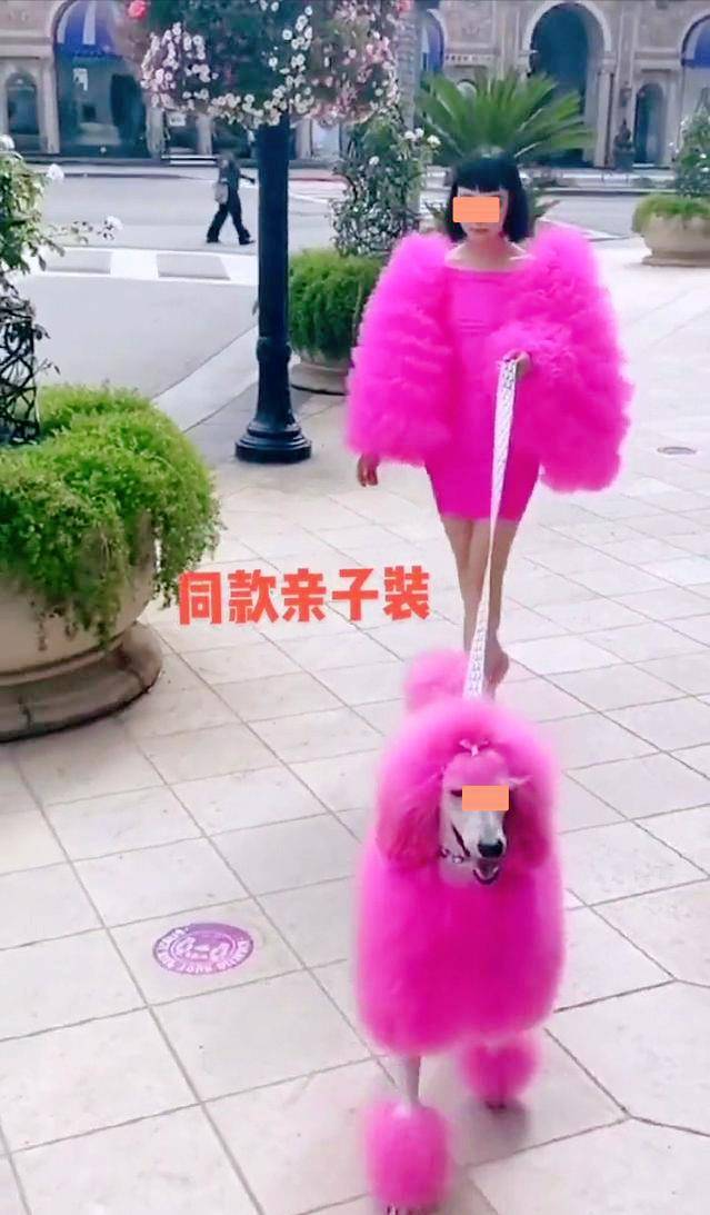 纪实女子和狗同吃同住,出门和狗狗穿同款粉色衣服,网友接受不了