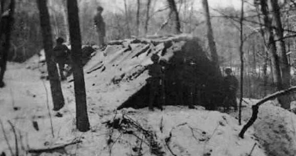 杨靖宇的警卫员,负伤藏身密林60多天,撞见过狼群冻掉脚趾