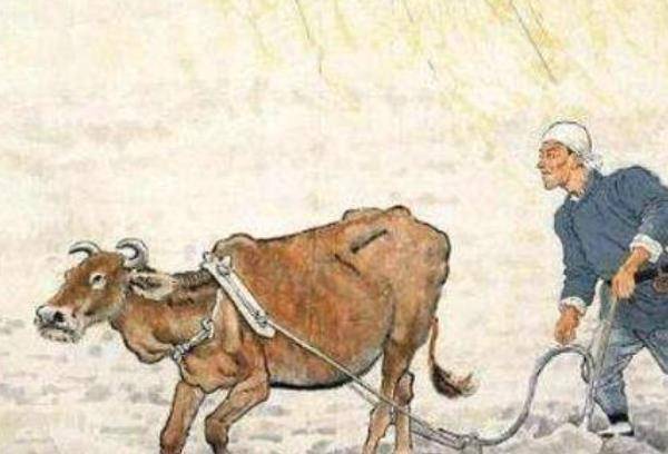 老人说2020年"二龙治水,十一牛耕田",什么意思?有道理嘛?