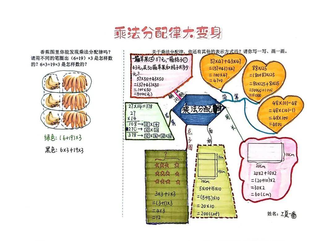 四年级分配律思维导图图片