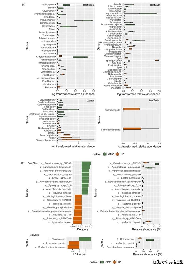 中科院地化学所郝立凯团队揭示易感和高抗烟草微生物