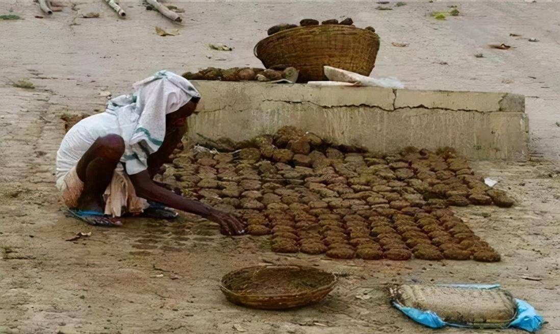 扔牛粪,石头是表示祝福?印度为何如此奇葩,刷新三观只因太愚昧