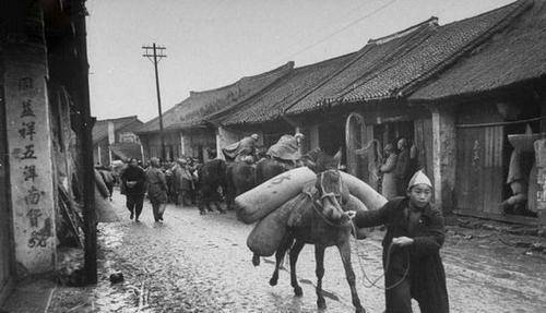 参谋长向邓铁梅秘报海运军火事宜,想到不隔墙有耳,还能成功吗?