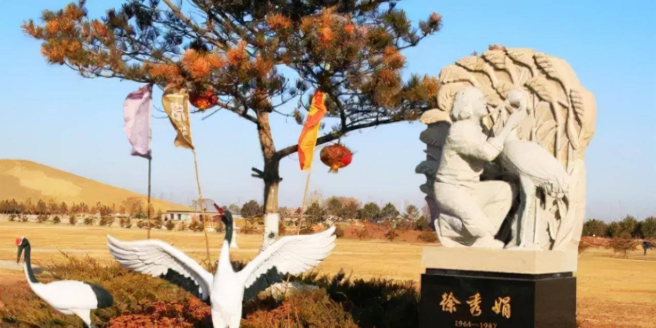 丹顶鹤女孩徐秀娟,一家三代牺牲两人,如今侄女放弃保研坚守使命