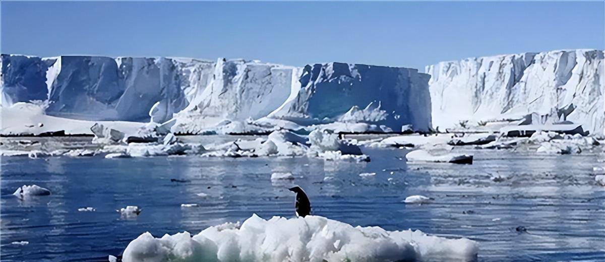 国际会议上,我国代表被请出场外喝咖啡,愤然离去当场立下誓言