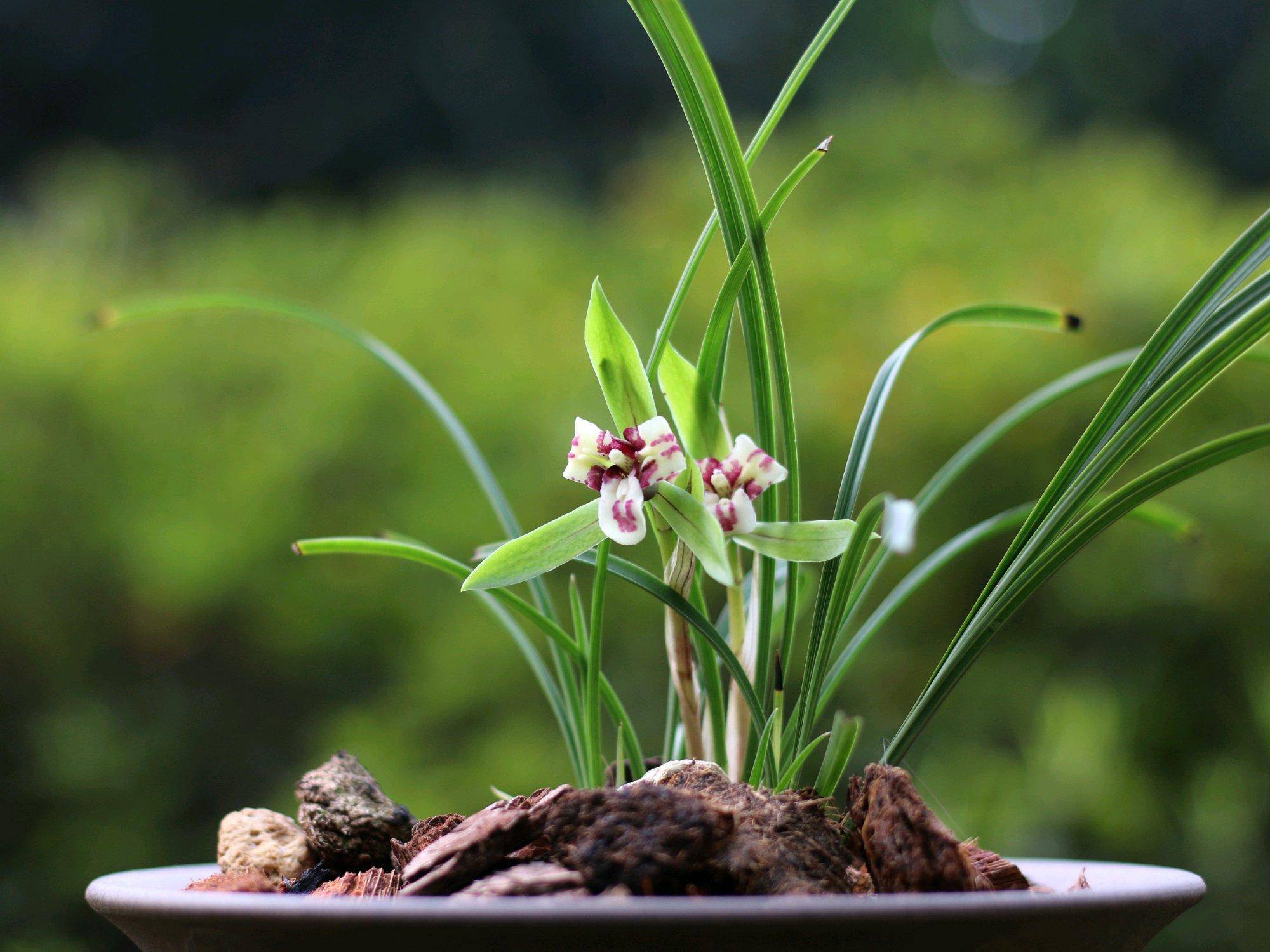 亲家一起聚会,要做到:一装,二忍,三笑