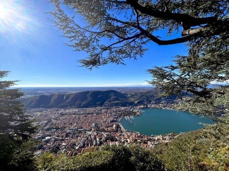 36岁小法带队杀回意甲!