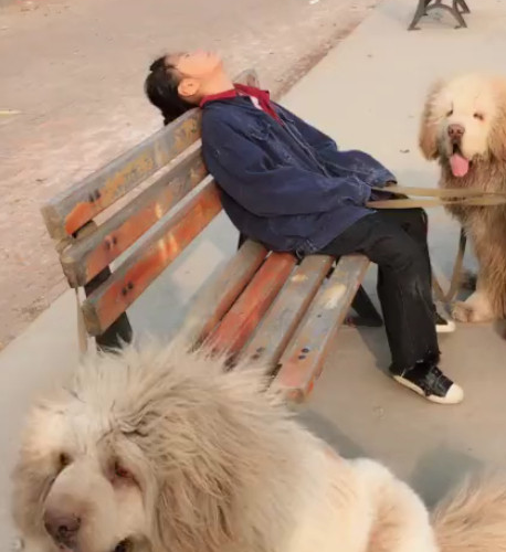 他们这次在外面玩的有点久,又加上小朋友昨天太迟睡觉了,就打算在椅子