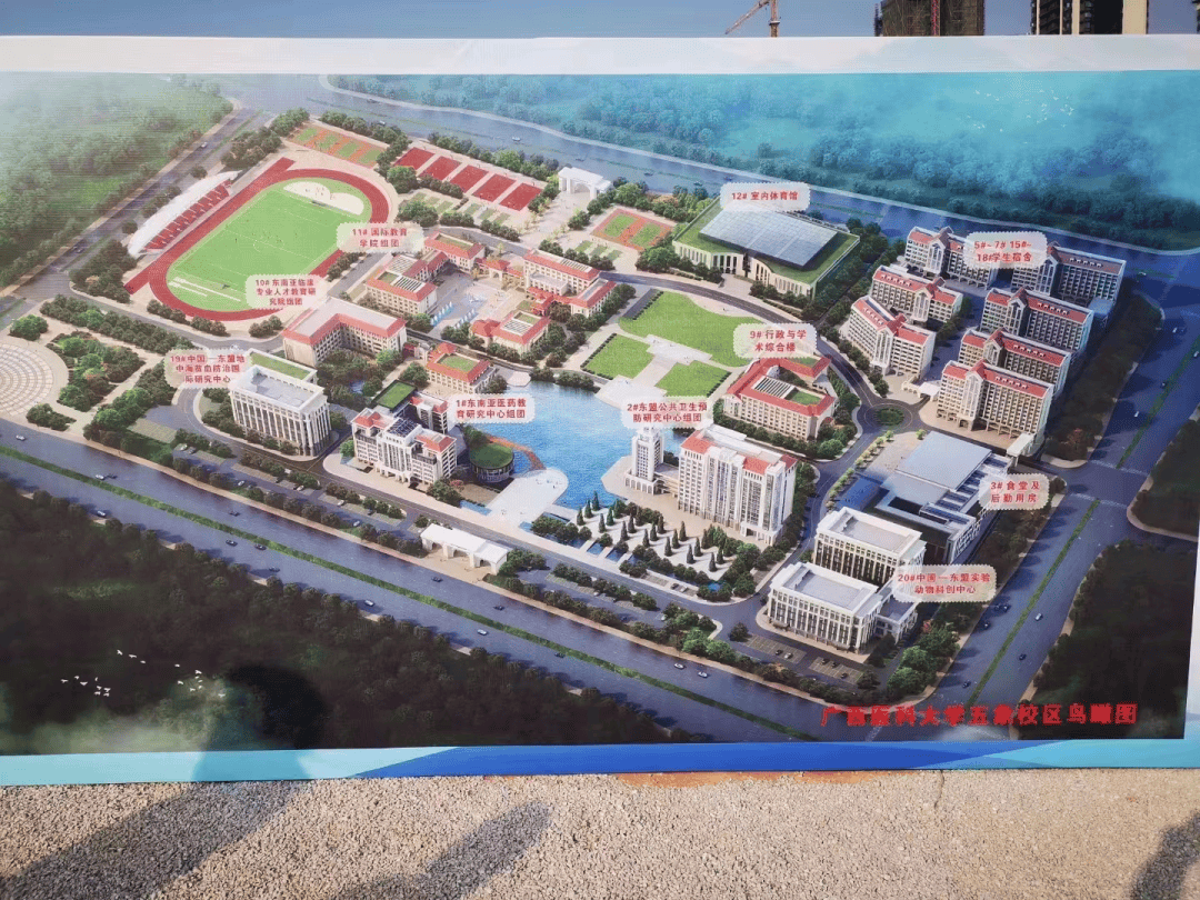 正在建设中的广西医科大学五象校区在五象湖边,面积超1000亩
