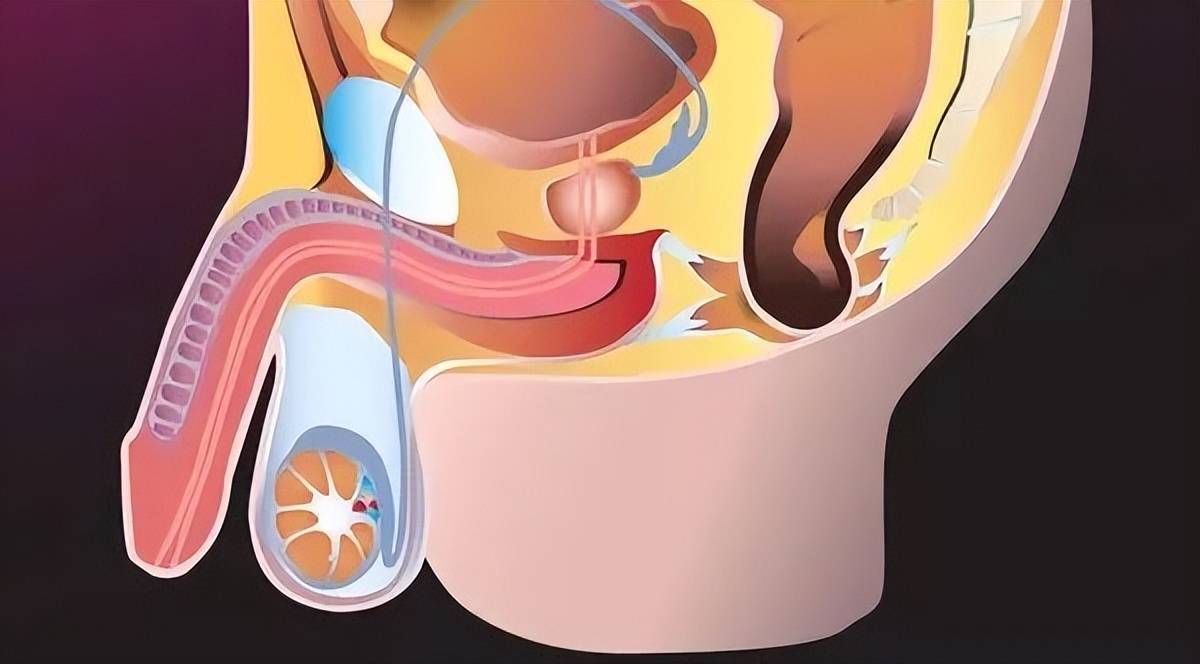 光邦光子治疗仪:男性尿频尿急,千万别不当回事!