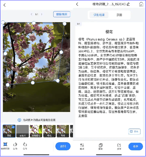 扫描图片识别东西,这几款神器值得推荐!