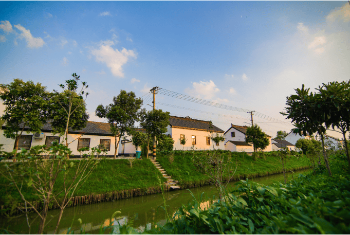 向美而行,向新而兴—盐城市亭湖区新兴镇全方位加强人居环境建设纪实