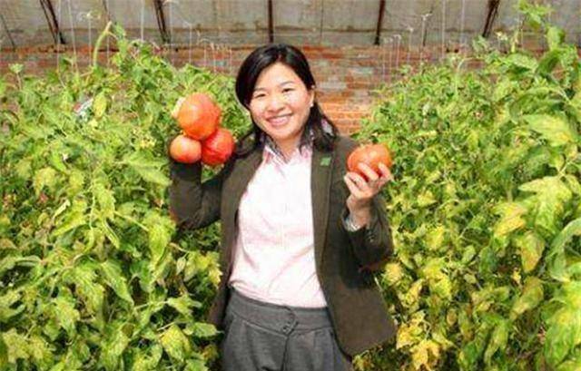 剑桥博士开启农民新玩法,在线看菜的"云农场",如今访客不断!