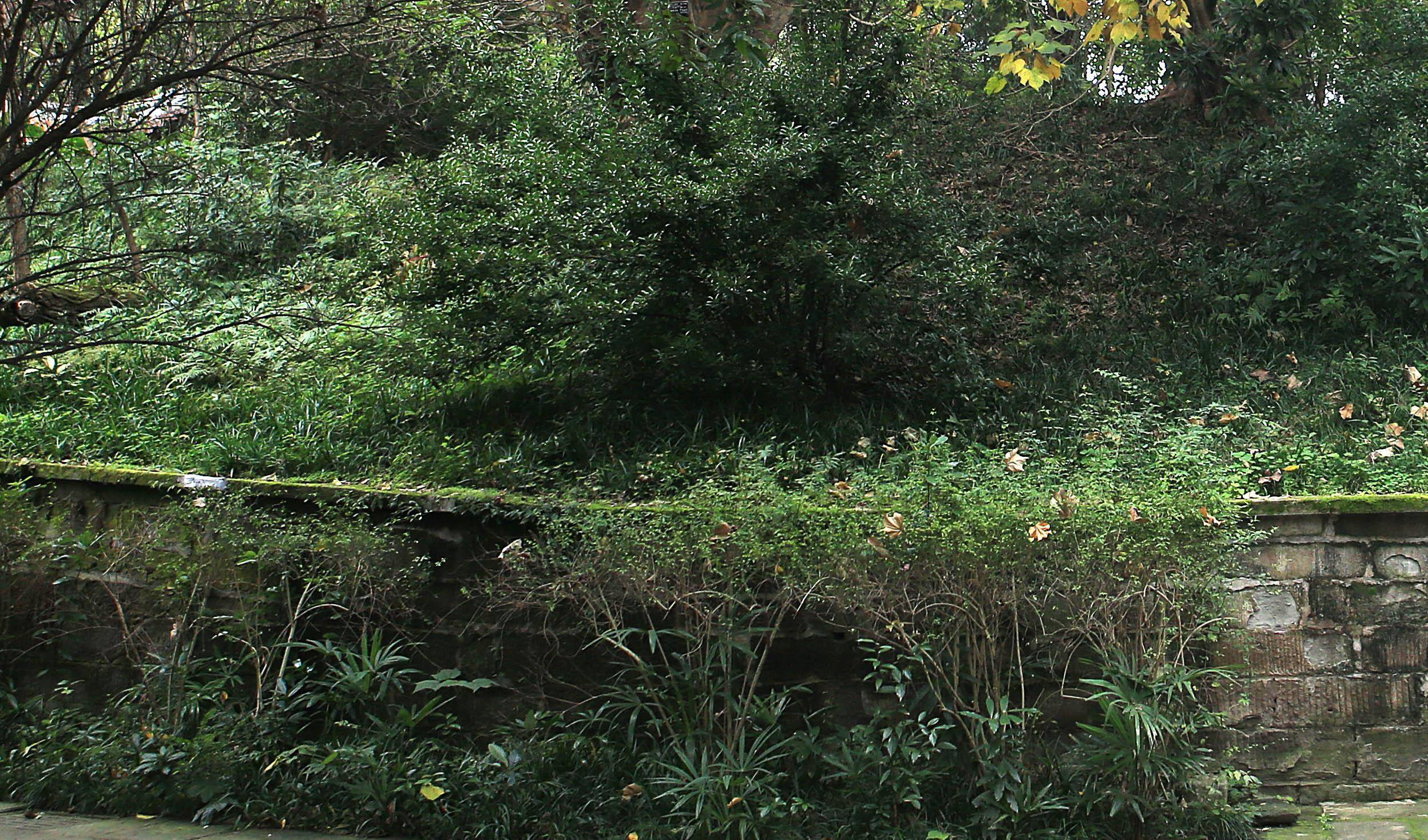 在云阳建造了张飞庙,而在阆中古城的张飞墓中,是没有头颅的,只有躯干