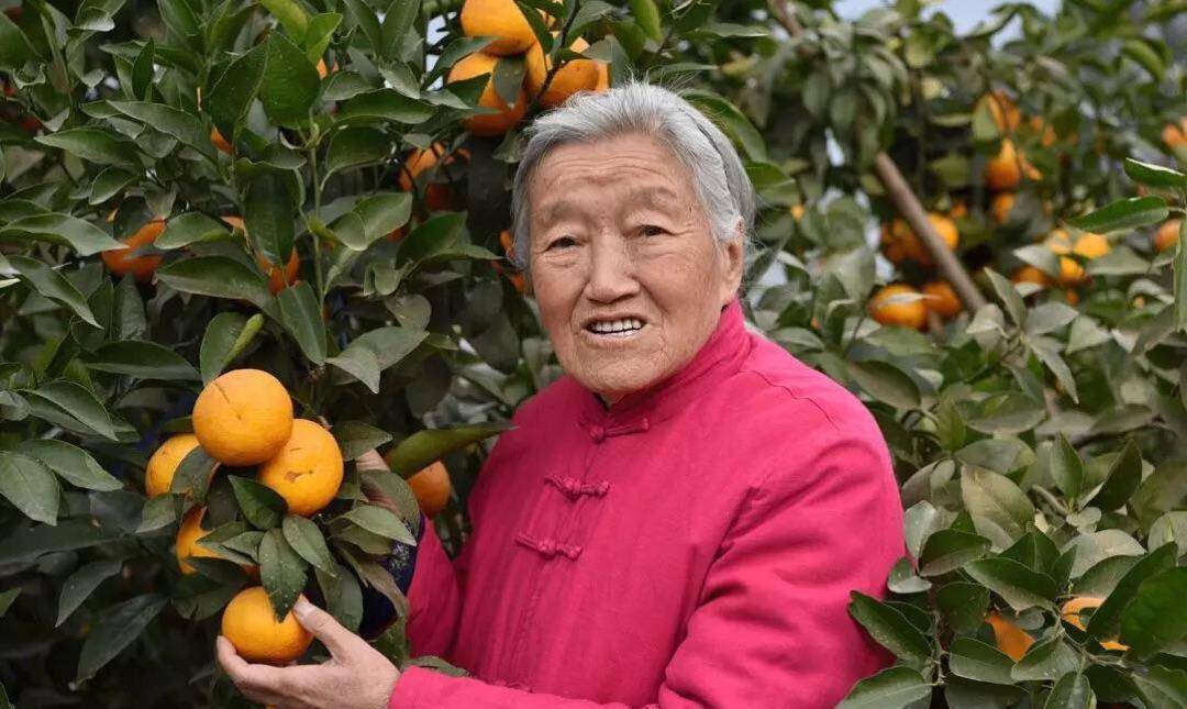 马静芬:从褚时健夫人到女企业家,丈夫去世她在墓地做了两个举动