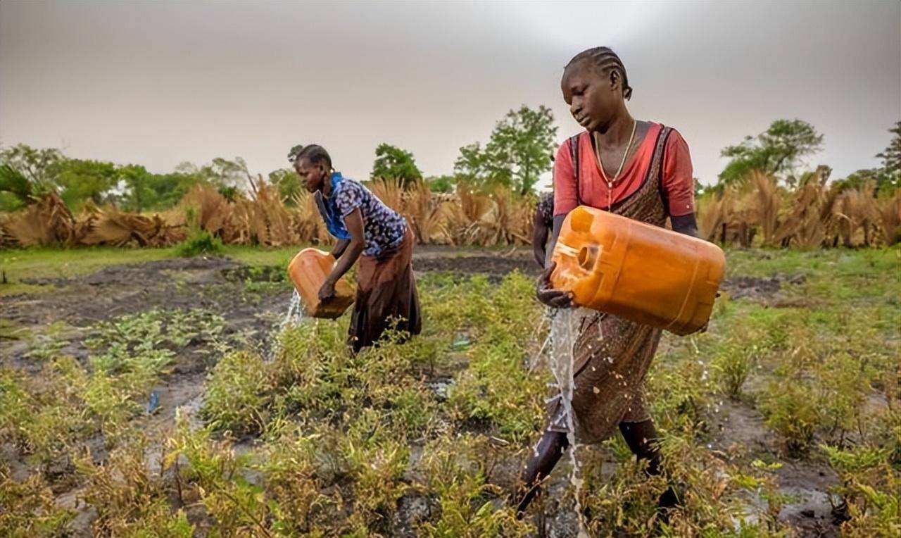 埃及早期农业研究,从考古学的角度,能够发现那些信息?