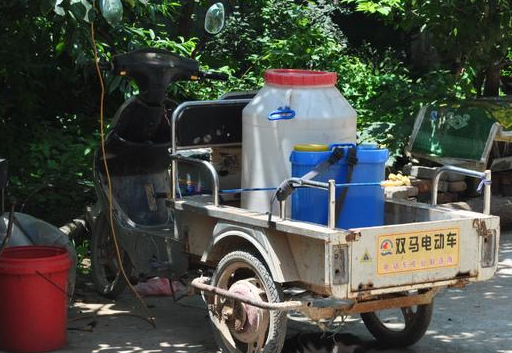 自行车_黄豆_小猫