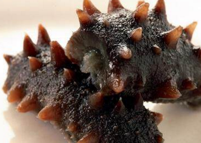 海参被列为"海八珍"之首,那么它都有哪些好处和禁忌呢?