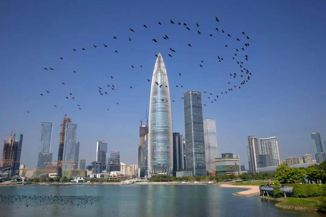 吴长锡-《我与天空之城》吴斌-《朝霞映南山》王少斌-《港口春色》罗