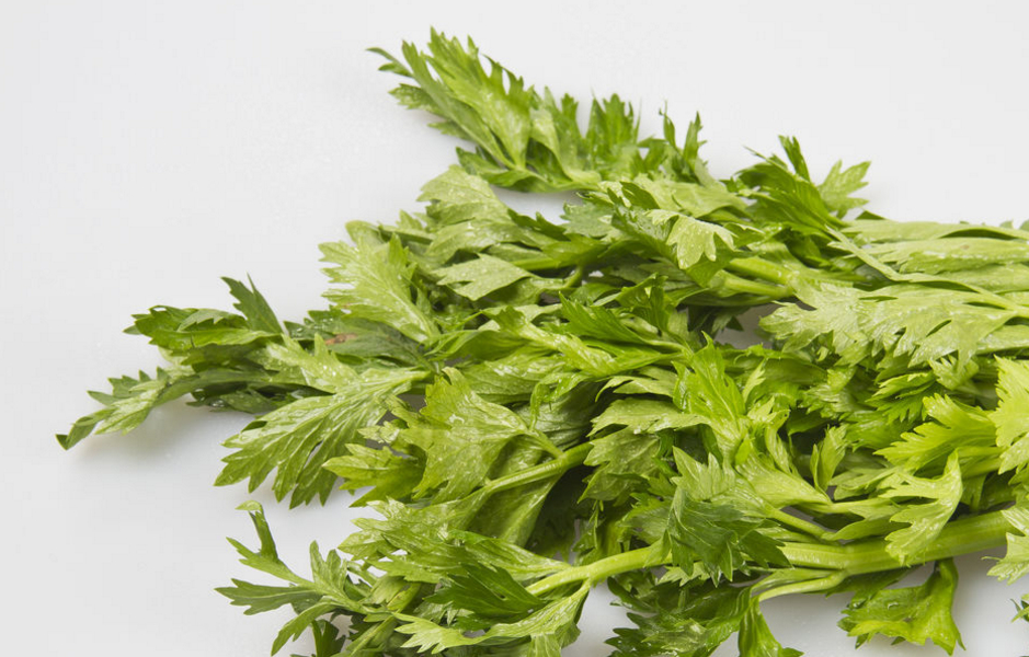 用于麻疹初期,肝阳上亢,失眠多梦.这草药主要有清热透疹,平肝安神.